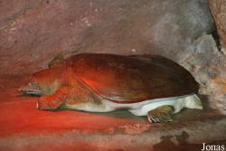 Zoologická zahrada Ústí nad Labem