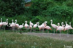 Zoo Landau in der Pfalz