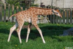 Zoologická zahrada Ústí nad Labem