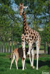Zoologická zahrada Ústí nad Labem