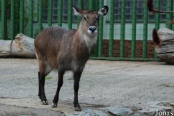 Zoologická zahrada Ústí nad Labem