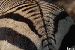 Zoologická zahrada Ústí nad Labem