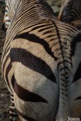 Zoologická zahrada Ústí nad Labem