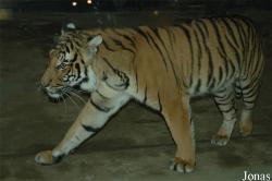Zoologická zahrada Ústí nad Labem