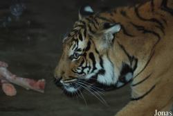 Zoologická zahrada Ústí nad Labem