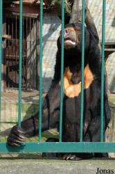 Zoologická zahrada Ústí nad Labem