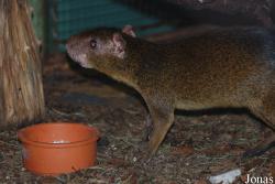 Zoologická zahrada Ústí nad Labem