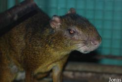 Zoologická zahrada Ústí nad Labem
