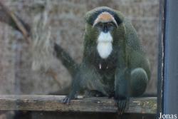 Zoologická zahrada Ústí nad Labem
