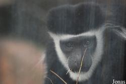 Zoologická zahrada Ústí nad Labem