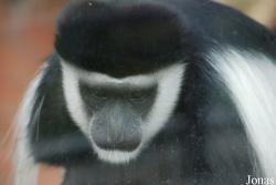 Zoologická zahrada Ústí nad Labem