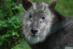 Zoologická zahrada Ústí nad Labem
