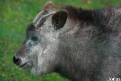 Zoologická zahrada Ústí nad Labem