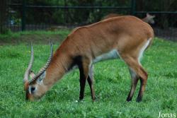 Zoologická zahrada Ústí nad Labem