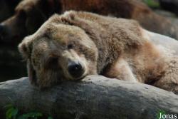 Zoo Děčín