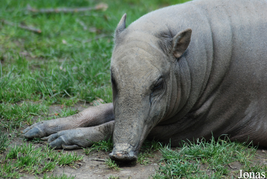 Zoo Děčín