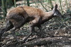 Zoo Děčín