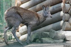 Zoo Děčín