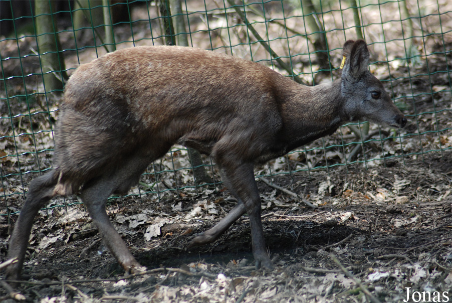 Zoo Děčín