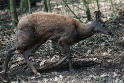 Zoo Děčín