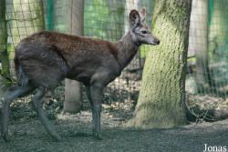 Zoo Děčín