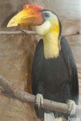 Zoo Děčín