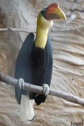 Zoo Děčín