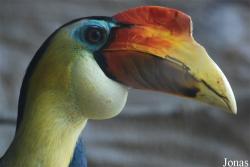 Zoo Děčín