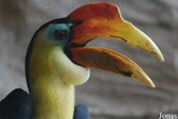 Zoo Děčín