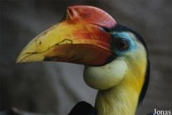 Zoo Děčín