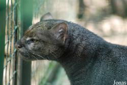 Zoo Děčín