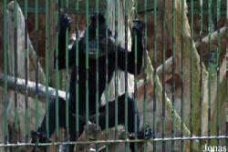 Zoo Děčín