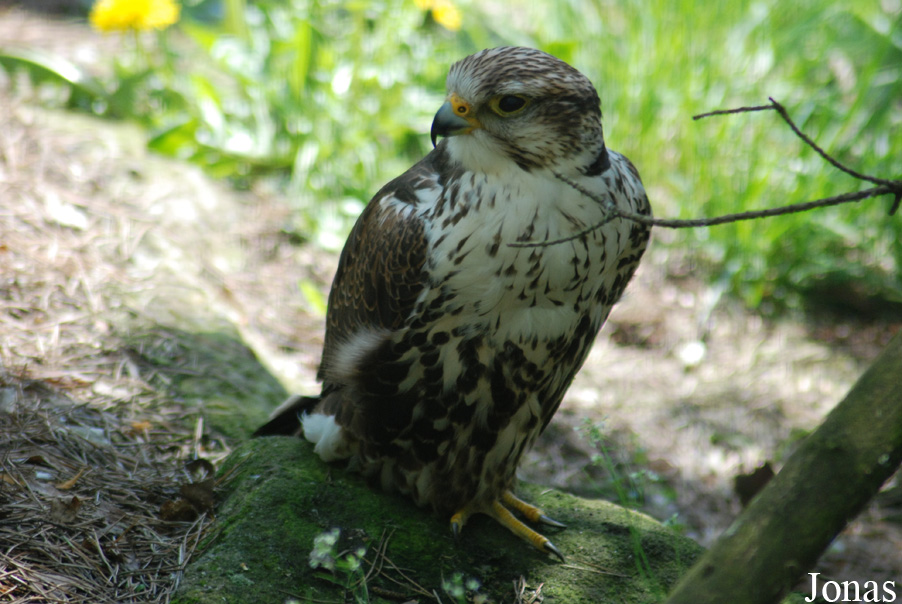 Zoo Děčín