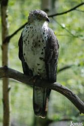 Zoo Děčín
