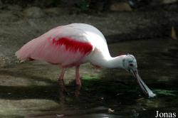 Zoo Landau in der Pfalz