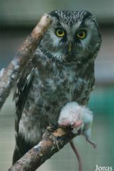 Zoo Děčín