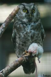 Zoo Děčín