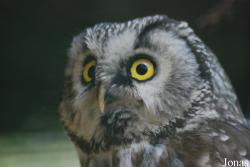 Zoo Děčín