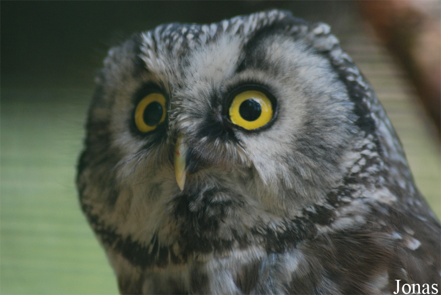 Zoo Děčín