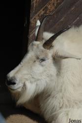 Zoo Děčín