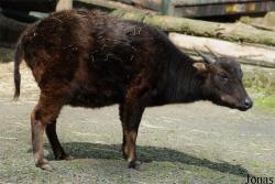 Zoo Děčín