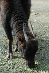 Zoo Děčín