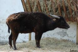 Zoo Děčín