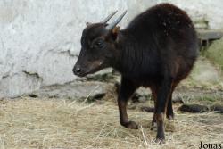 Zoo Děčín
