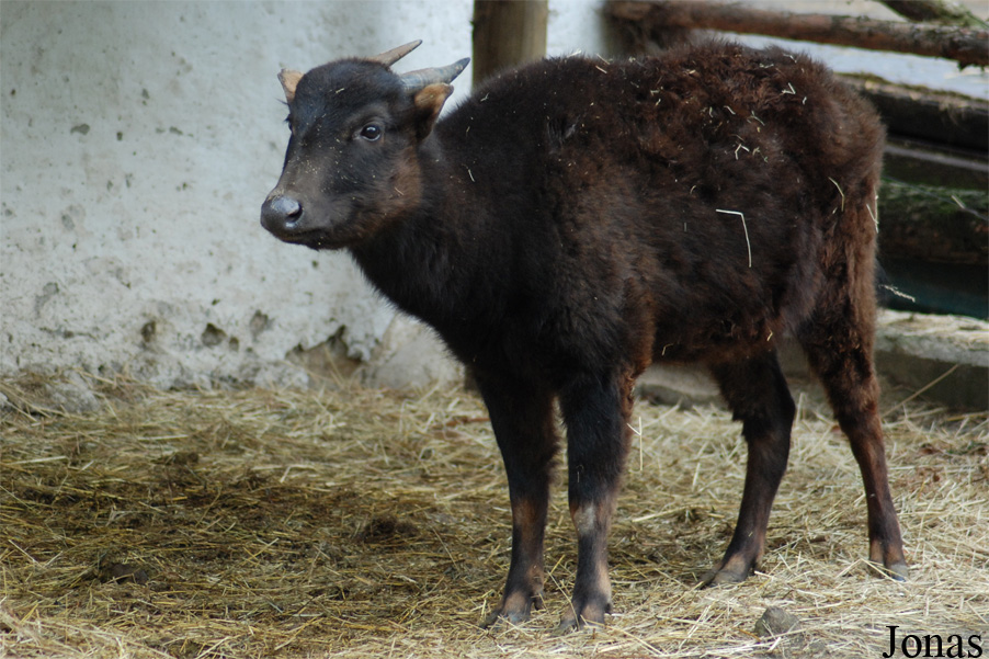 Zoo Děčín