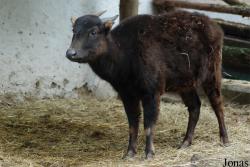 Zoo Děčín