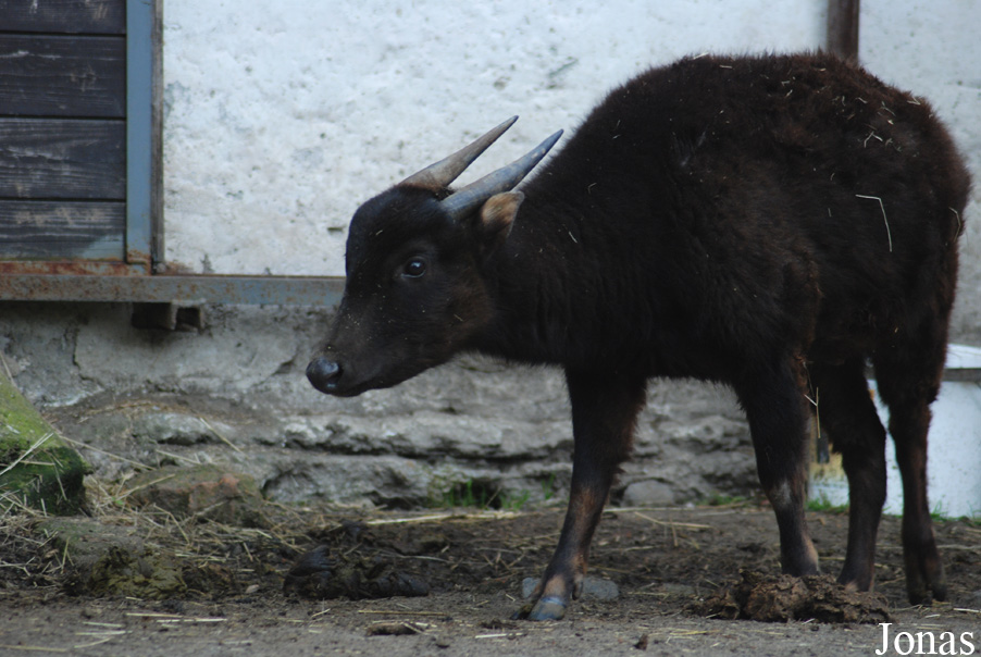 Zoo Děčín