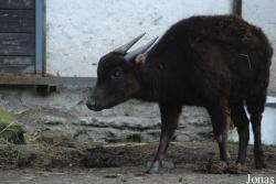 Zoo Děčín