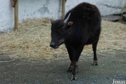 Zoo Děčín