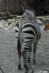 Zoo Landau in der Pfalz